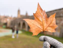 Hand holding a dry autumn leaf in front of an Italian town, symbolizing seasonal change and idioms about autumn weather.