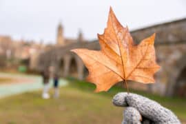 Hand holding a dry autumn leaf in front of an Italian town, symbolizing seasonal change and idioms about autumn weather.