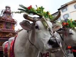 Lo Scoppio del Carro — Florence's Easter explosion and one of the richest Italian vocabulary moments of the year.