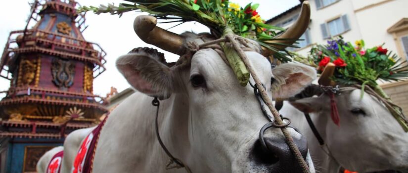 Lo Scoppio del Carro — Florence's Easter explosion and one of the richest Italian vocabulary moments of the year.