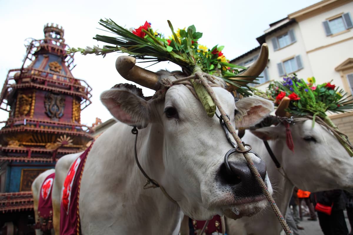 Lo Scoppio del Carro — Florence's Easter explosion and one of the richest Italian vocabulary moments of the year.